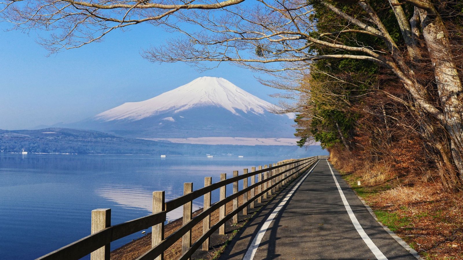 Mount Fuji Hiking Regulations: Yamanashi Prefecture Implements Gates and Fees to Protect Natural Environment