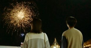Enjoying Fireworks in Japan: Tips and Etiquette for a Safe and Fun Experience