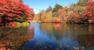 Karuizawa Day Trip: Top 10 Must-Visit Attractions