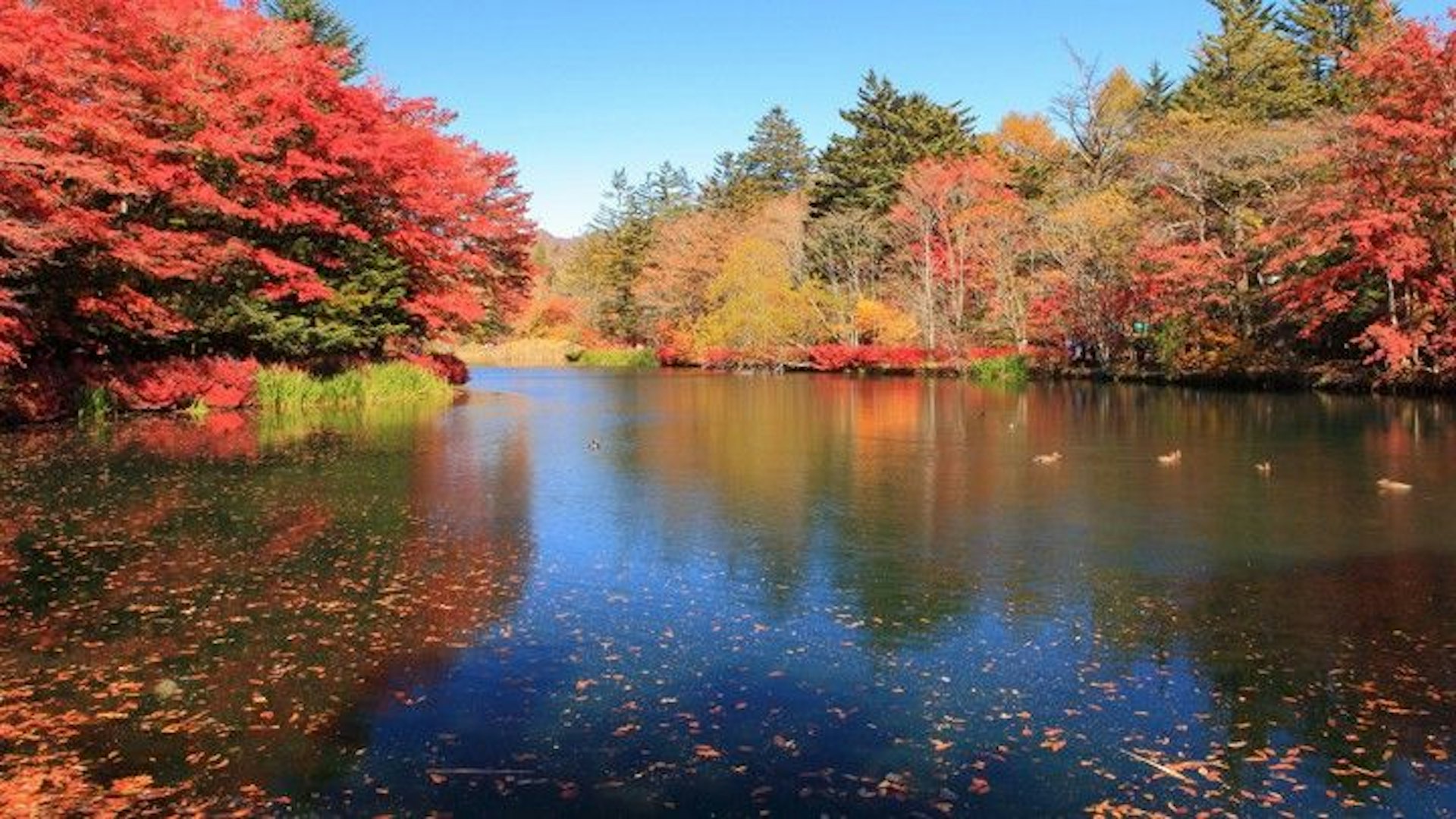 Karuizawa Day Trip: Top 10 Must-Visit Attractions