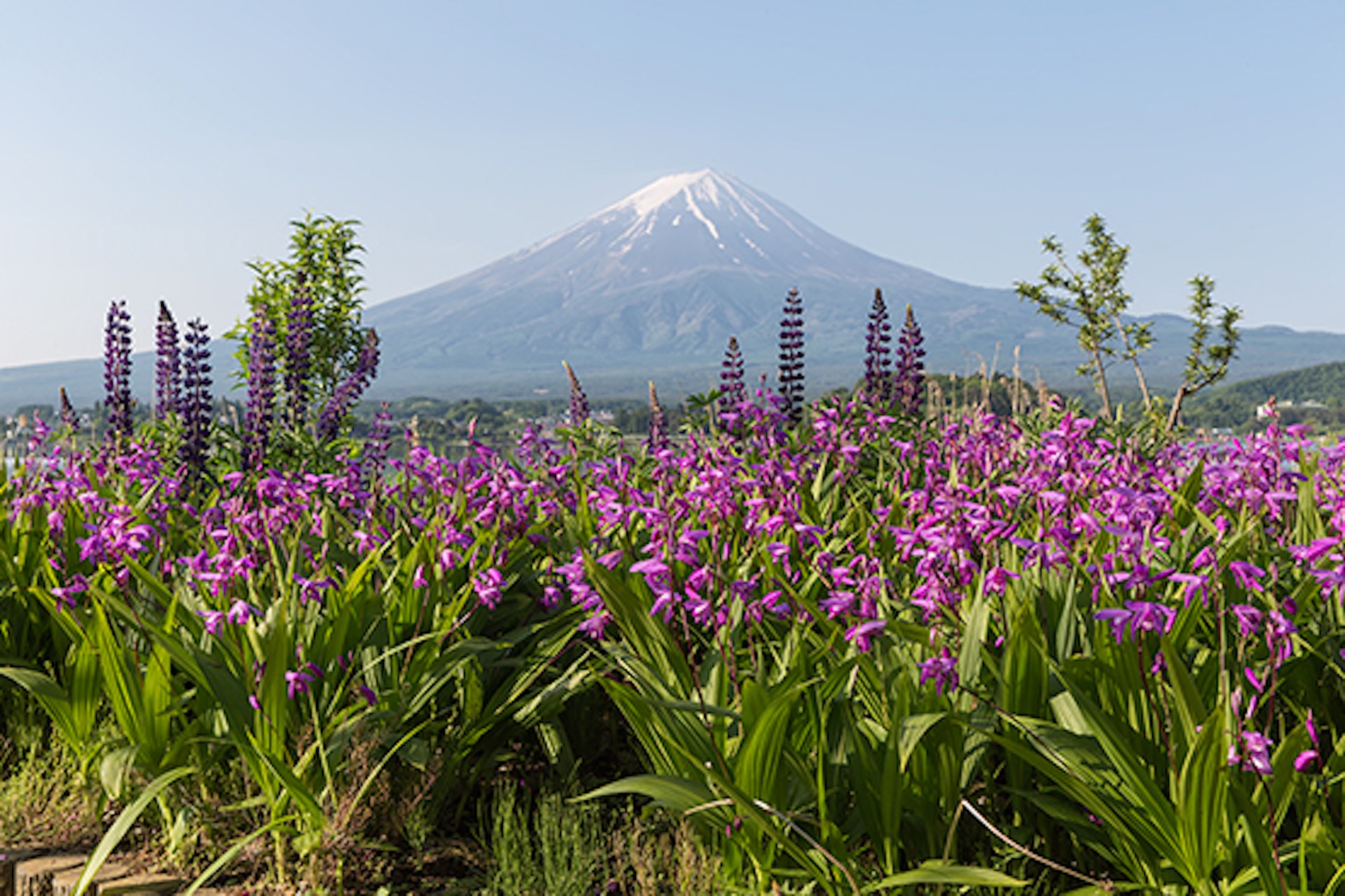 Top 6 Must-Visit Attractions for a Day Trip to Lake Kawaguchi