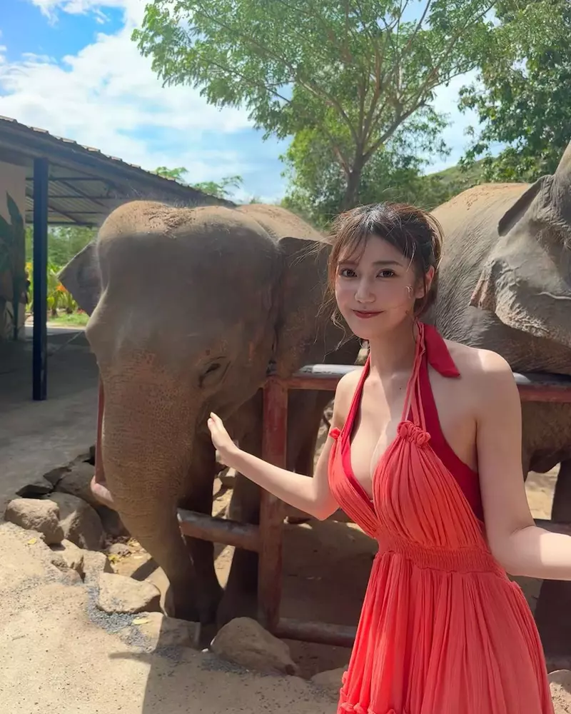 Natsuki Abe, the Girl Feeding Watermelon to Elephants, Dubbed 