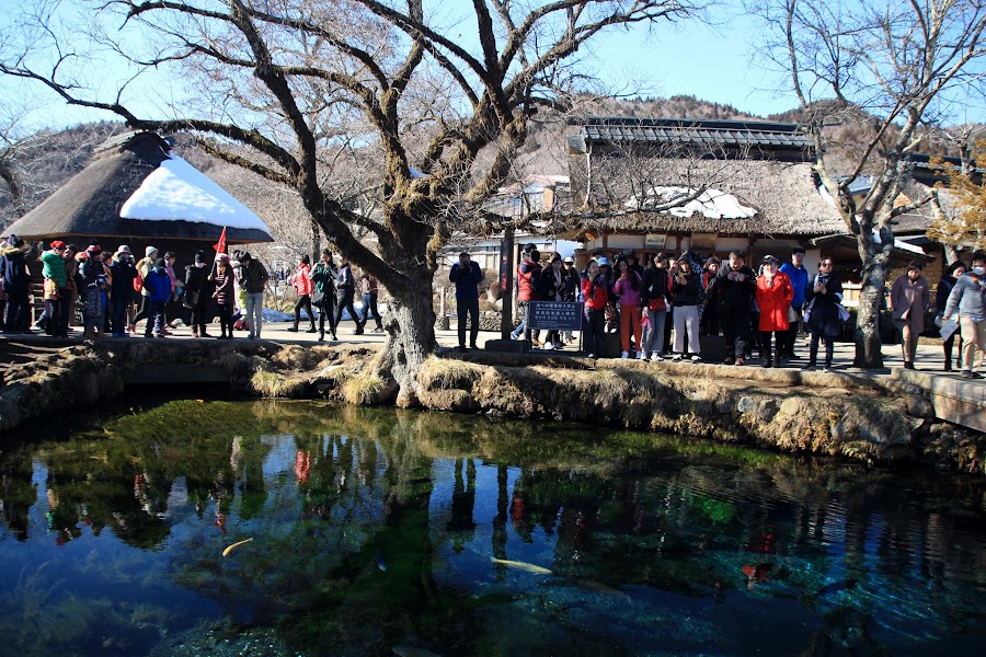 Japan's World Heritage Site Oshino Hakkai Becomes Wishing Well, Foreign Coins Increasingly Thrown, Residents Concerned About Water Quality