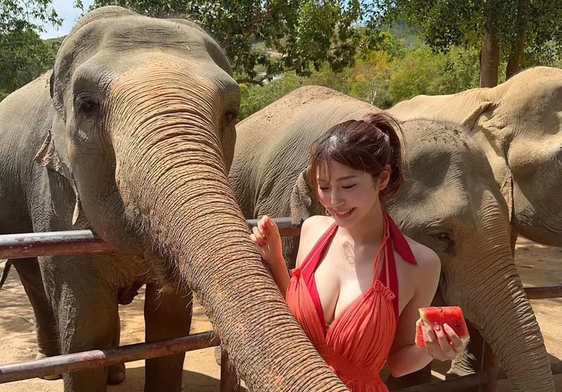 Natsuki Abe, the Girl Feeding Watermelon to Elephants, Dubbed 