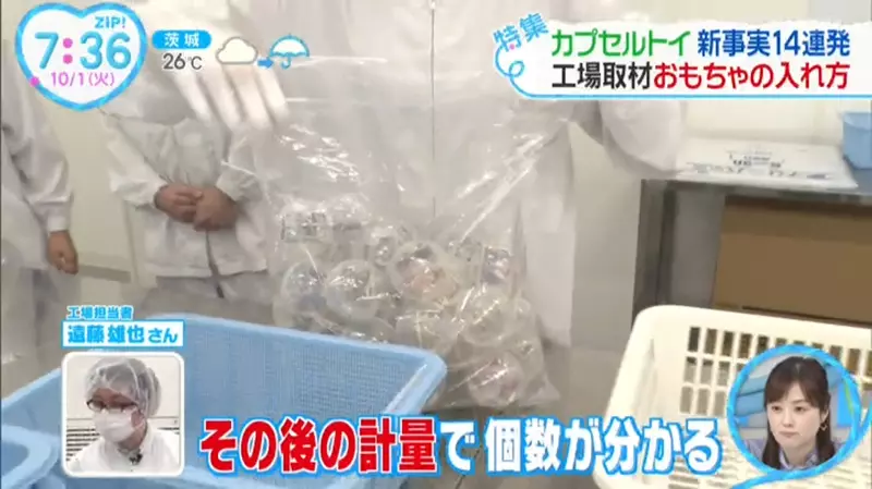 Revealing the Secret of Japanese Twisted Egg Toy Packaging! In pursuit of fair distribution, it turns out that the entire process is manually operated