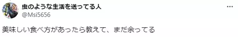 Pet iguanas lay eggs and cook them to eat! Japanese pet owners sigh helplessly: they don't want to waste, but it really doesn't taste good