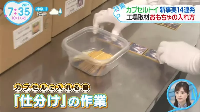 Revealing the Secret of Japanese Twisted Egg Toy Packaging! In pursuit of fair distribution, it turns out that the entire process is manually operated