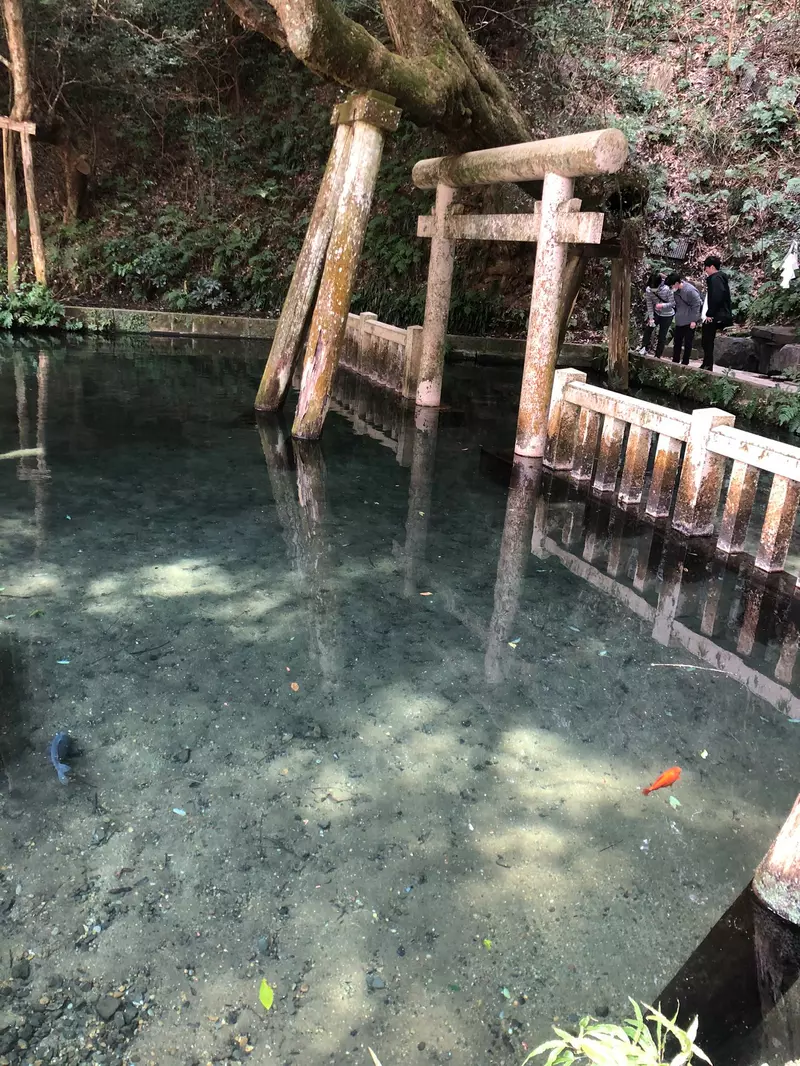 Was the “water torii gate” at Katori Shrine in Japan overly edited? Japanese netizens: Is the original scene not beautiful enough?