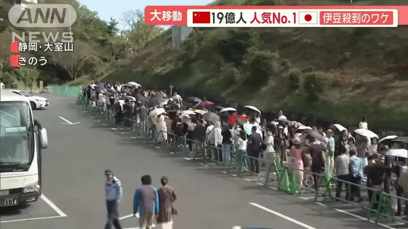 Izu Oshima in Japan has become a popular tourist attraction! Attracting countless Chinese tourists to check-in due to its resemblance to the scene of 'Your Name'