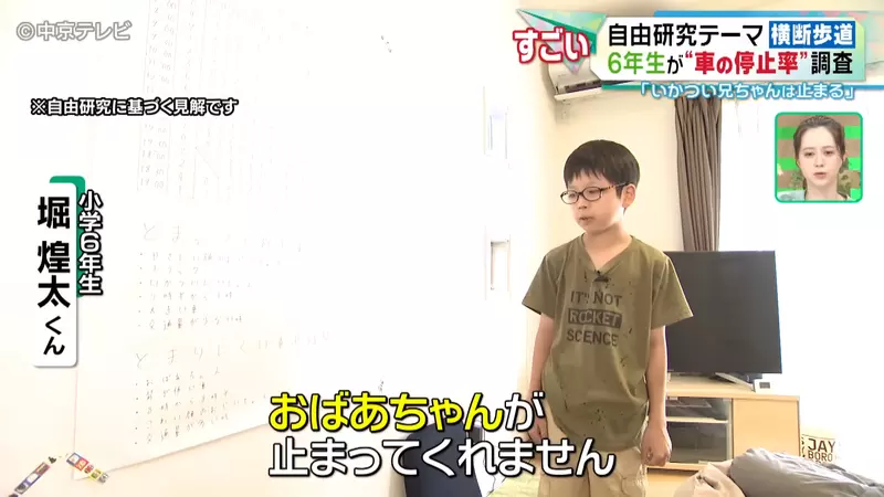 Japanese elementary school student researches' pedestrian hell '! No one yields on the zebra crossing, but is it the fierce big brother who is more polite than the kind old lady?