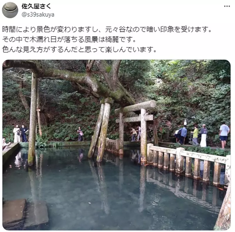 Was the “water torii gate” at Katori Shrine in Japan overly edited? Japanese netizens: Is the original scene not beautiful enough?