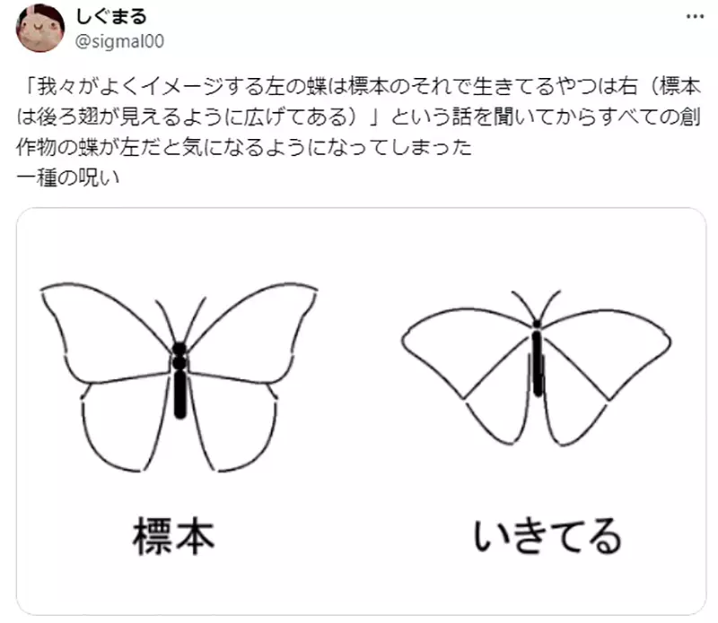 The Hidden Misconception of Butterfly Painting! Are specimen references prone to errors, and have Japanese professional painters also been recruited?