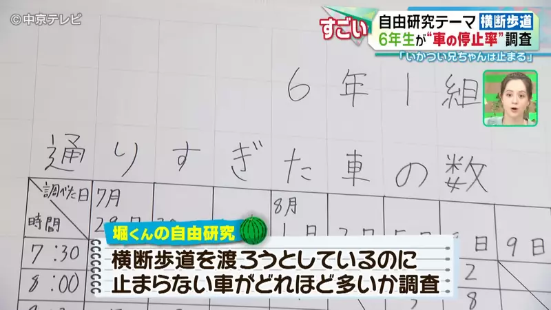 Japanese elementary school student researches' pedestrian hell '! No one yields on the zebra crossing, but is it the fierce big brother who is more polite than the kind old lady?