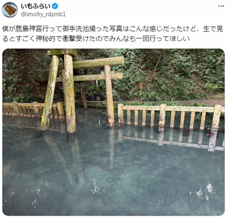 Was the “water torii gate” at Katori Shrine in Japan overly edited? Japanese netizens: Is the original scene not beautiful enough?