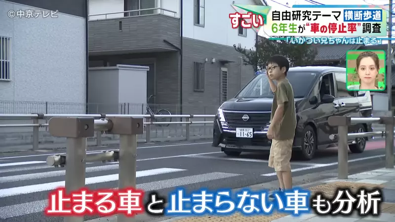 Japanese elementary school student researches' pedestrian hell '! No one yields on the zebra crossing, but is it the fierce big brother who is more polite than the kind old lady?