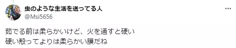 Pet iguanas lay eggs and cook them to eat! Japanese pet owners sigh helplessly: they don't want to waste, but it really doesn't taste good