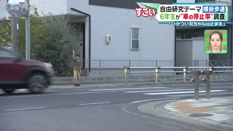 Japanese elementary school student researches' pedestrian hell '! No one yields on the zebra crossing, but is it the fierce big brother who is more polite than the kind old lady?