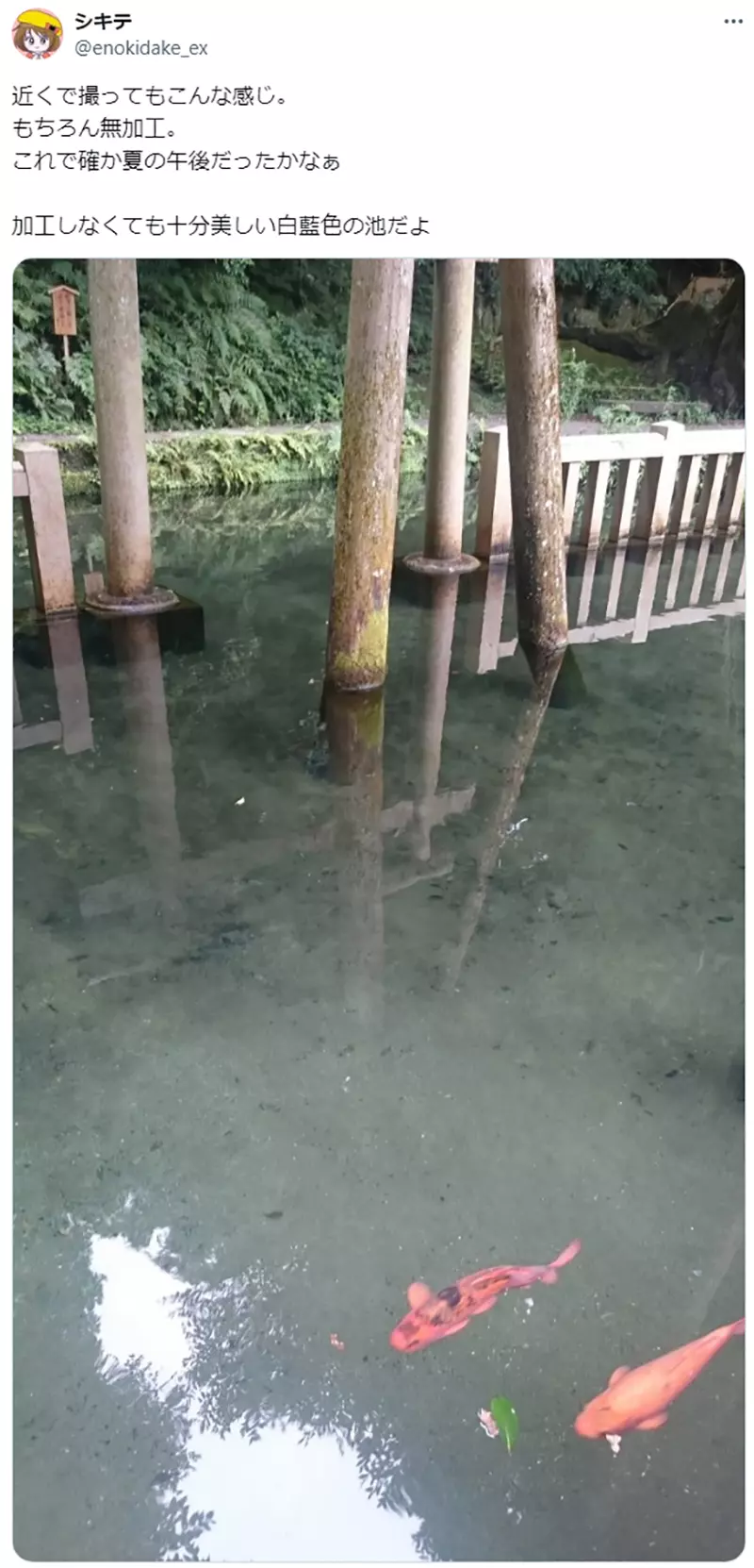 Was the “water torii gate” at Katori Shrine in Japan overly edited? Japanese netizens: Is the original scene not beautiful enough?