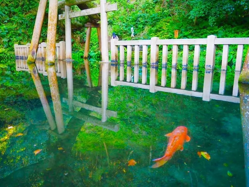 Was the “water torii gate” at Katori Shrine in Japan overly edited? Japanese netizens: Is the original scene not beautiful enough?