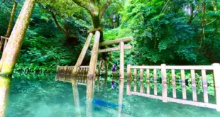 Was the “water torii gate” at Katori Shrine in Japan overly edited? Japanese netizens: Is the original scene not beautiful enough?