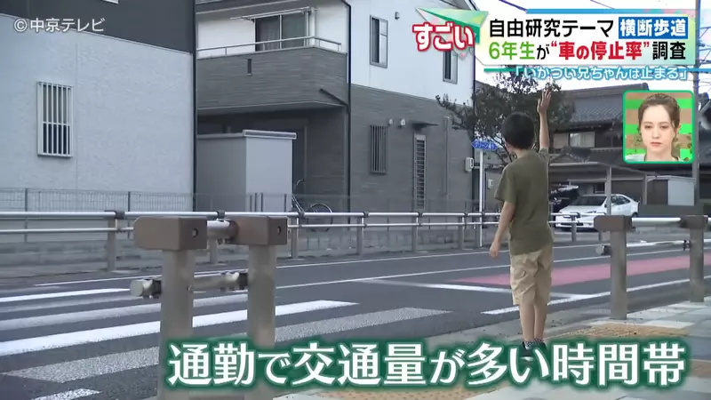 Japanese elementary school student researches' pedestrian hell '! No one yields on the zebra crossing, but is it the fierce big brother who is more polite than the kind old lady?