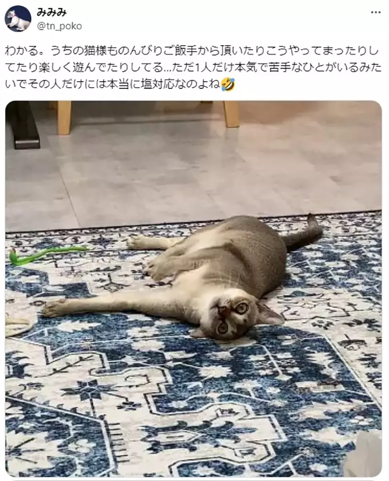 Sending a sample pet but the nanny gets NTR! Japanese netizens experienced a pet hotel for the first time, only to be shocked to see their shy cat acting coquettishly with a nanny!