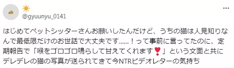 Sending a sample pet but the nanny gets NTR! Japanese netizens experienced a pet hotel for the first time, only to be shocked to see their shy cat acting coquettishly with a nanny!