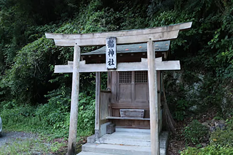 The cat shrine 