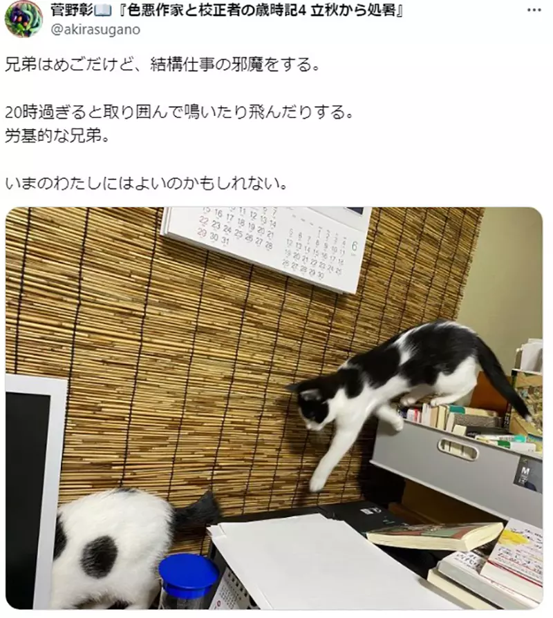 Japanese writer Akira Sugano reminisces about his love for cats 20 years ago! It is the only one responsible for urging submissions; Editor&# 8221;