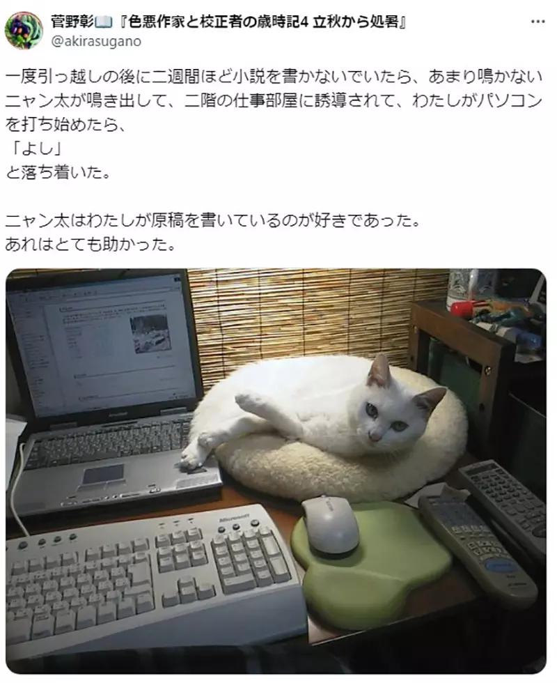 Japanese writer Akira Sugano reminisces about his love for cats 20 years ago! It is the only one responsible for urging submissions; Editor&# 8221;