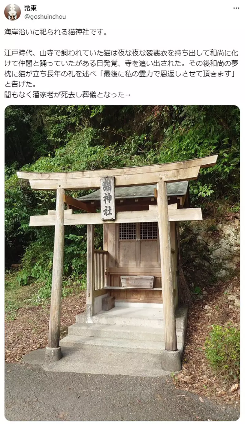 The cat shrine 