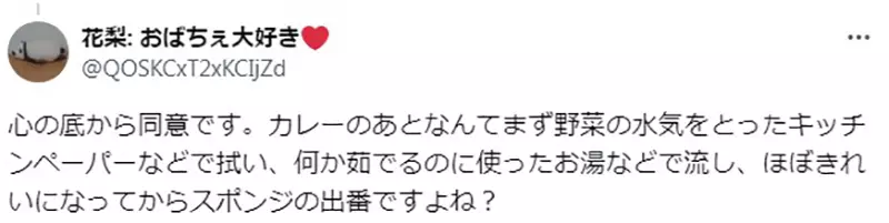 Japanese housewives roast about the advertisement of dish detergent! Can a greasy dish be wiped clean with a scouring pad? Netizen: The person who shoots the advertisement probably hasn't washed the dishes before