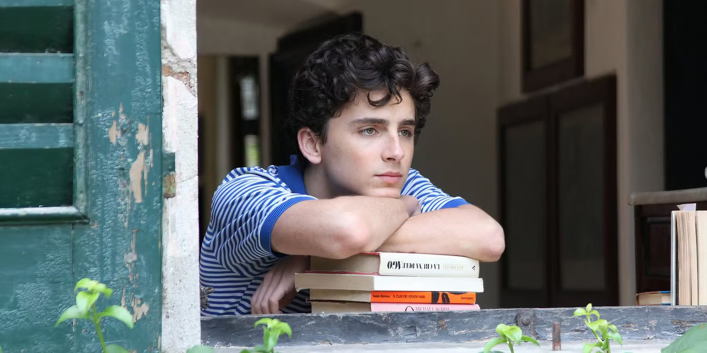 Subverting tradition! Timoth é e Chalamet: Even a thin and thin bookish aura can dominate Hollywood!