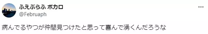 The troubles of Japanese creators! Writing 'negative plotlines' is always said to be sick, but why doesn't anyone praise it when writing' positive plotlines'?