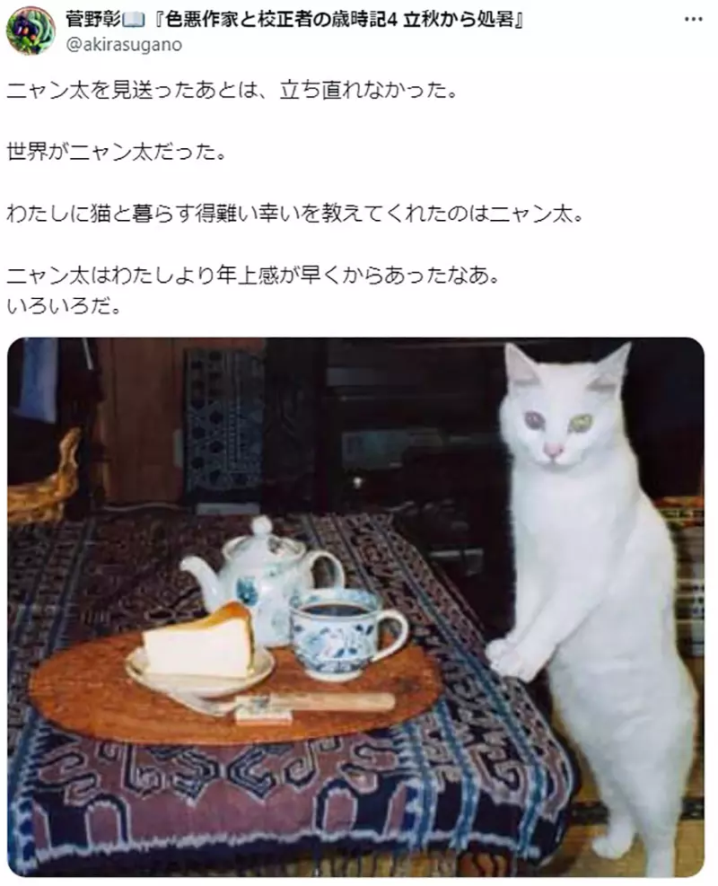 Japanese writer Akira Sugano reminisces about his love for cats 20 years ago! It is the only one responsible for urging submissions; Editor&# 8221;