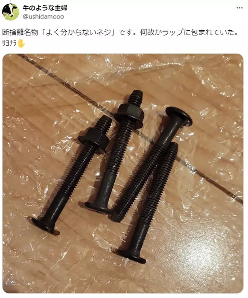 Japanese netizens regret losing the 'unknown' screw six months ago! How should I organize it properly? Netizen: This is the side effect of separation!