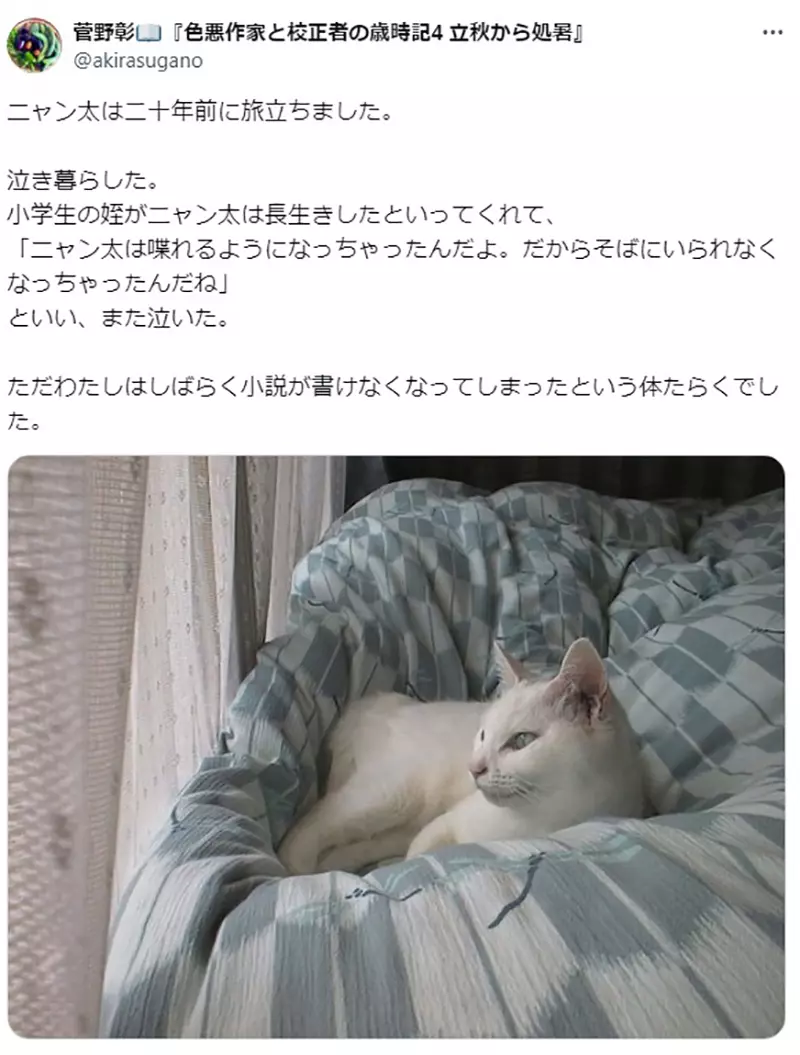 Japanese writer Akira Sugano reminisces about his love for cats 20 years ago! It is the only one responsible for urging submissions; Editor&# 8221;