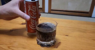 A Japanese netizen found a “Coca-Cola from half a century ago” while climbing a mountain, and when opened, it surprisingly still had bubbles! However, others exclaimed that this is too dangerous!